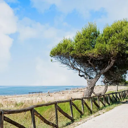 Bright Flat 50m From The Sea Apartment *
